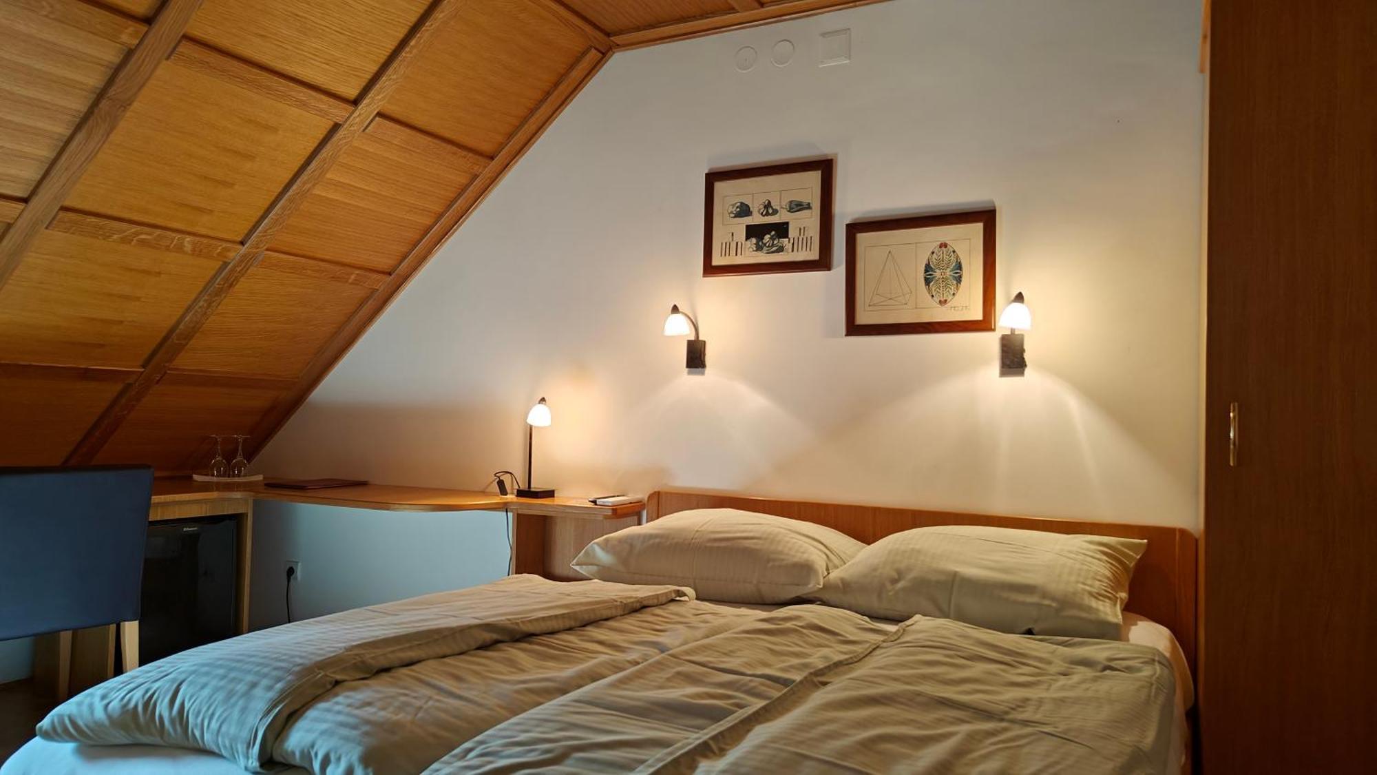 Guesthouse Pri Zalogarju Zelezniki Bagian luar foto